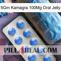 5Gm Kamagra 100Mg Oral Jelly 40